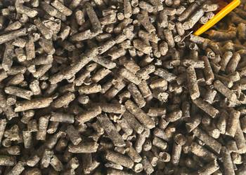 Wysłodki buraczane suche melasowane