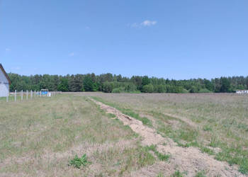 Działka z wydanymi warunkami zabudowy