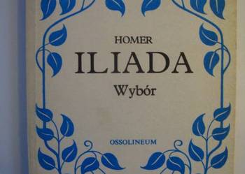 ILIADA WYBÓR - HOMER