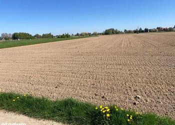 Przyjmę ziemię w dzierżawę gmina Księżpol