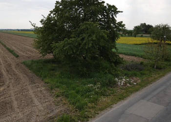 Działka Uszczyn 2000m2