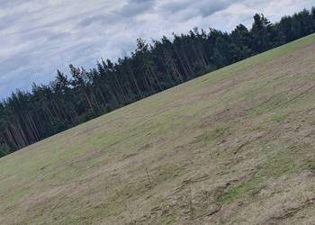Działka budowlana 1.000m2  w otulinie lasu