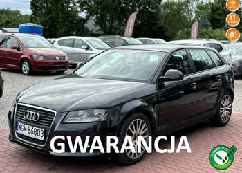 Audi A3 Gwarancja, 1.9TDI 8P (2003-2012)