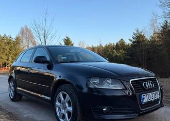 Audi A3 8P 2009r. 2.0 TDI CR