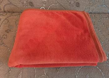 Koc pomarańczowy, do sprzedania