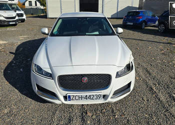 Jaguar XF Lekko uszkodzony sprawny Jeżdżący X260 (2015-)