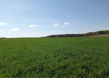 Działka rolna 30 arów- Zbrosławice