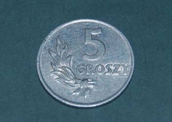 5 groszy 1949r BZ Moneta PRL Starocia