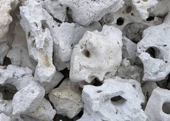 WAPIEŃ FILIPIŃSKI Biała Skała do Akwarium Malawi Tanganika Seriyu Iwagumi