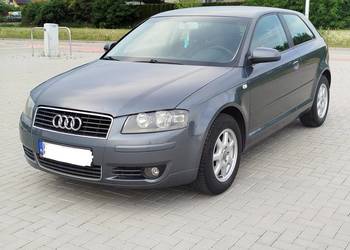 Audi a3 8p 1.6 Benzyna Rok 2004
