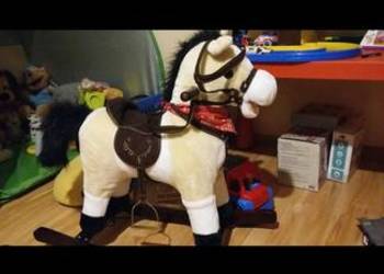 Konik na biegunach gunach