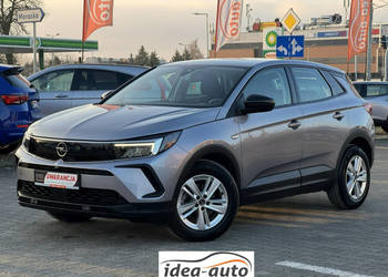 Opel Grandland *FILM*Bezwypadkowy*Niski Przebieg*Roczna Gwarancja Technicz…