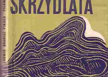 (5068) PIERWSZA SKRZYDLATA – LUDWIK BRONISZ – PIKAŁO