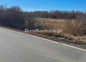 Działka Borek 4572m2