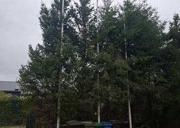 Maszt reklamowy