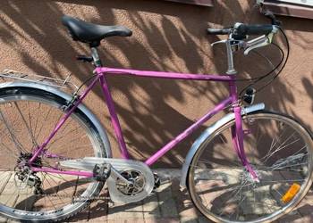 rower męski holenderski