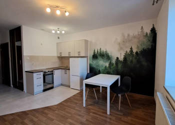 Wynajmę dwupokojowe mieszkanie Kraków/Zabłocie ul.Sarmacka/ parking w cenie