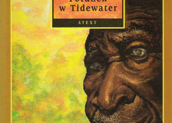 poranek w Tidewater - W. Styron. poranek w Tidewater - W. Styron.