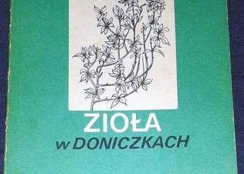 Zioła w doniczkach - Piotr Metera