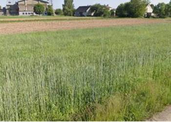 Sprzedam działkę o pow. 0,1424 ha Wierzawice gm. Leżajsk