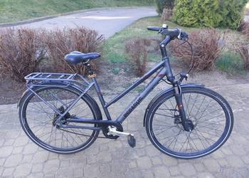 Pegasus Opero 28" rama M-L Nexus 8biegów