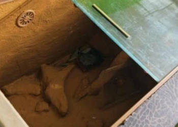 Terrarium na węża, chomika lub żółwia – wentylacja, przesuwane szyby