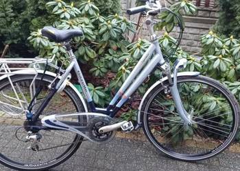 Rower Gazelle Batavus Sparta inne