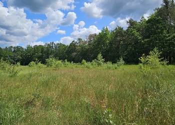 Działka budowlana 1000M2; WZ; BRZÓZA