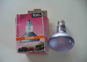 PROMIENNIK PODCZERWIENI żarówka Infrared Sollux 100W R80 PROMIENNIK PODCZERWIENI żarówka Infrared Sollux 100W R80