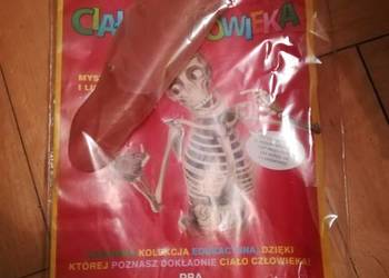 National Geographic - Ciało człowieka numer 42 NOWY kompletn