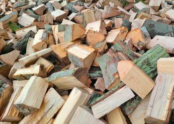 Drewno kominkowe i opałowe