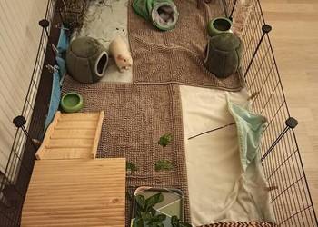 Wybieg dla królika kojec klatka metalowa zestaw DIY