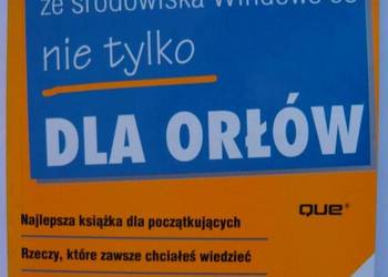 INTERNET ZE ŚRODOWISKA WINDOWS 95 NIE TYLKO DLA ORŁÓW