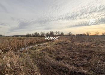 Działka rolna 0,84 ha Turka, gmina Dorohusk