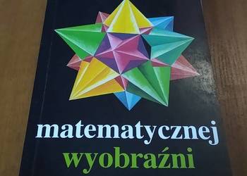Bezmiar matematycznej wyobraźni /  Ciesielski, Pogoda