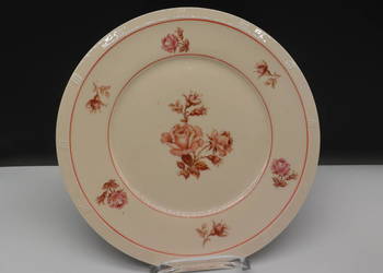 Talerz Porcelanowy Vintage – Wzór Alpin Rose – Czechosłowacja