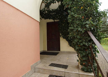 Dom wolnostojący Nowe Aleksandrowo Malinowa 223m2