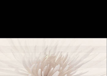 Dekor  Avangarde Inserto Flower 29,7 x 60, Opoczno, płytki, płytka, kafelki