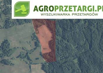 Dzierżawa 4,20 ha gruntu rolnego