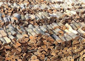 Drewno Kominkowe I Gałęziówka Buk Dąb Grab Brzoza Sosna Jesion SEZONOWANE