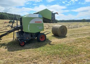 Witam sprzedam Prase claas rollant 350