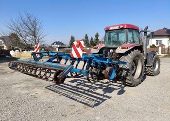 Bezorkowiec , czterobelkowiec rabe werk-ścierniskowiec