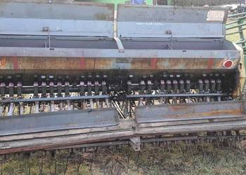 Siewnik poznaniak Siewnik poznaniak