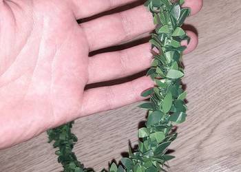 Wianek zielony