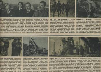 Przekrój Rok 1955