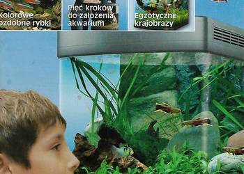 Jak założyć akwarium w zgodzie z naturą.