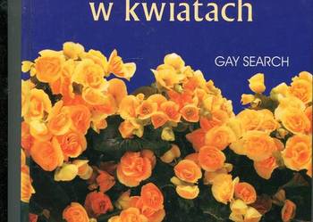 Okna i balkony w kwiatach - Gay Search