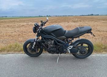 Triumph Speed Triple/Daytona 955i