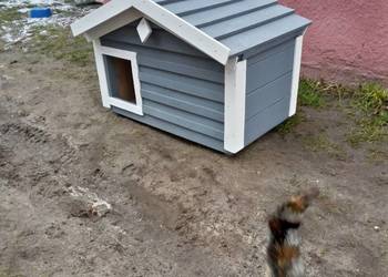 Domek,buda dla kota, kotów-Promocja