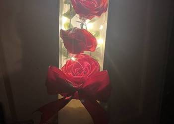 Róże w tubie LED